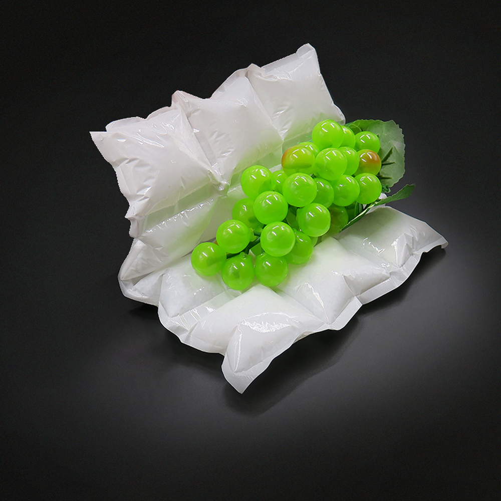 Dry Ice Gel Pack Shipping Delivery Food Dry Ice Pack Sheet for transporting perishable food