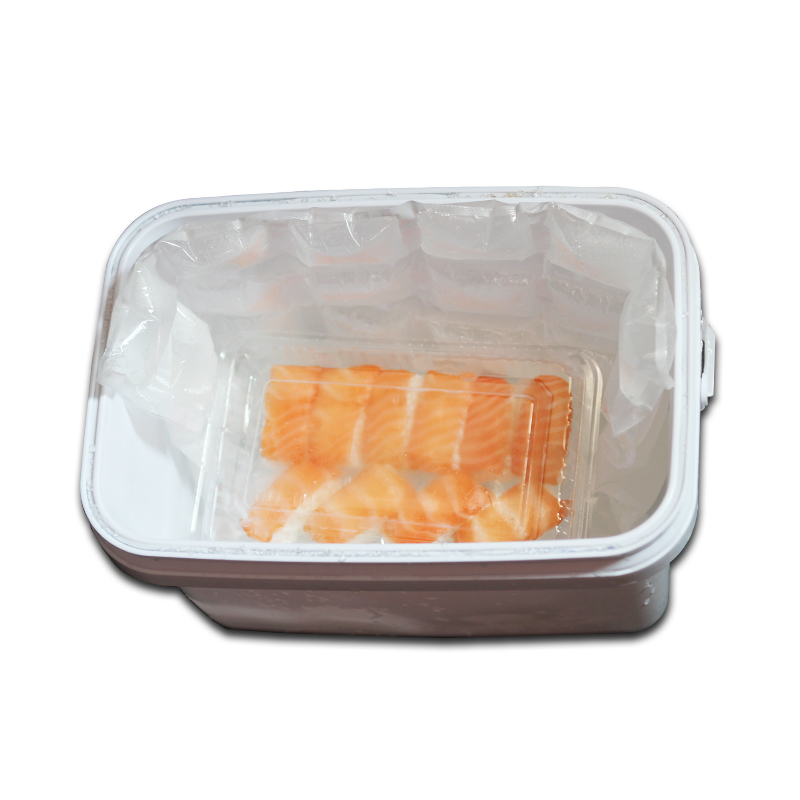 Custom Worth Buying Disposable Cooler Bag Lunch Box Ice Pack
