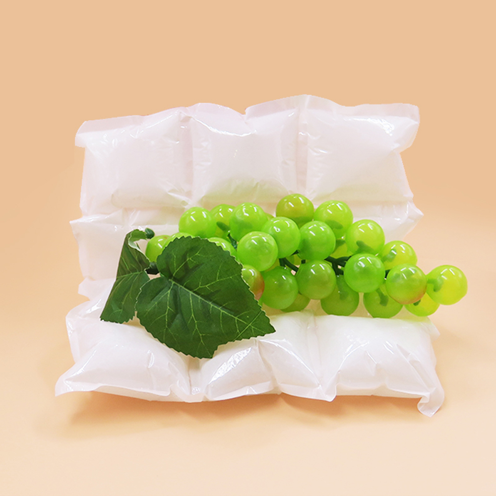 Double Sided eco friendly Dry Ice Pack for delivery
